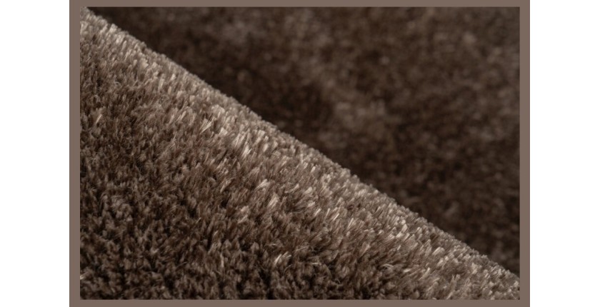 Tapis 150x80cm, design G008R coloris taupe - Confort et élégance pour votre intérieur
