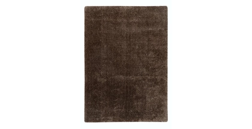 Tapis 150x80cm, design G008R coloris taupe - Confort et élégance pour votre intérieur