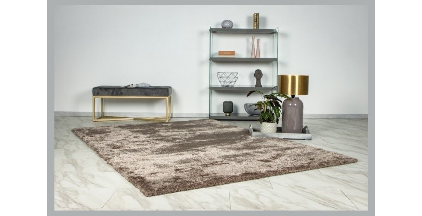 Tapis 170x120cm, design G008R coloris taupe - Confort et élégance pour votre intérieur