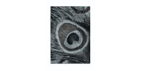 Tapis 150x80cm, design G108A coloris pet - Confort et élégance pour votre intérieur
