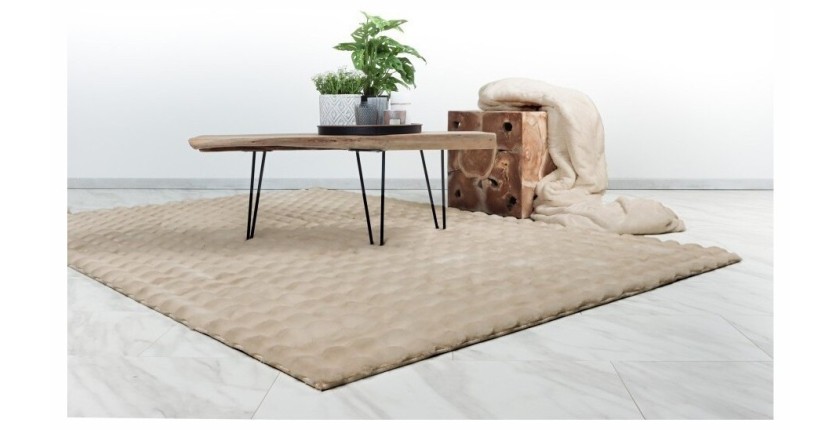 Tapis 150x80cm, design H008Y coloris beige - Confort et élégance pour votre intérieur