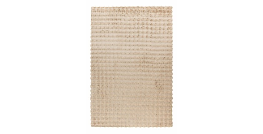 Tapis 150x80cm, design H008Y coloris beige - Confort et élégance pour votre intérieur