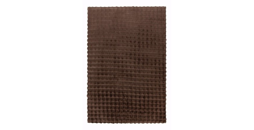 Tapis 230x160cm, design H008Y coloris taupe foncé - Confort et élégance pour votre intérieur