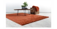 Tapis 150x80cm, design H008Y coloris rouge terracotta - Confort et élégance pour votre intérieur
