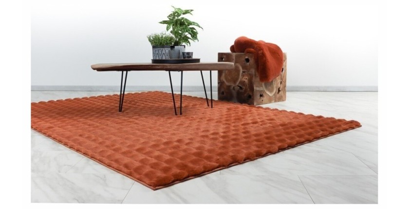 Tapis 150x80cm, design H008Y coloris rouge terracotta - Confort et élégance pour votre intérieur