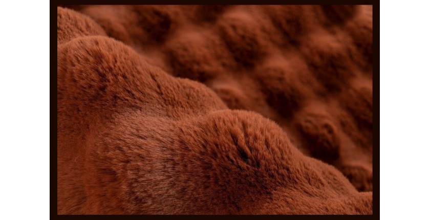 Tapis 150x80cm, design H008Y coloris rouge terracotta - Confort et élégance pour votre intérieur