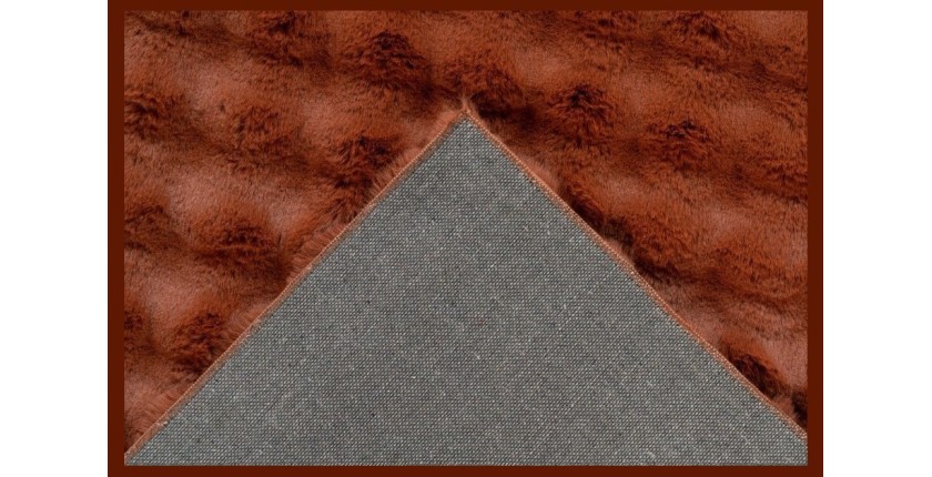 Tapis 150x80cm, design H008Y coloris rouge terracotta - Confort et élégance pour votre intérieur