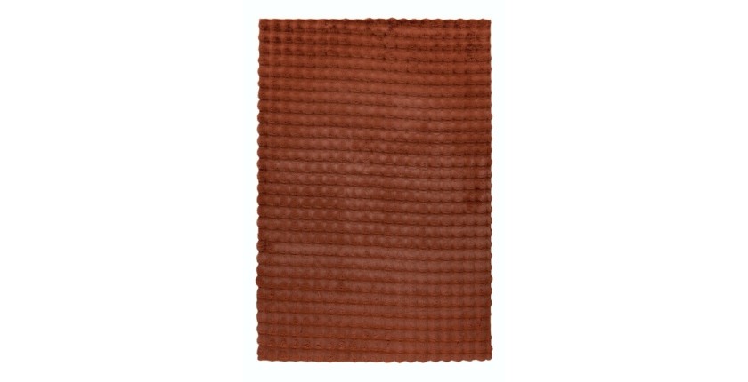 Tapis 150x80cm, design H008Y coloris rouge terracotta - Confort et élégance pour votre intérieur