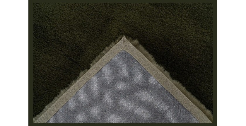 Tapis 150x80cm, design H008N coloris vert basilic - Confort et élégance pour votre intérieur