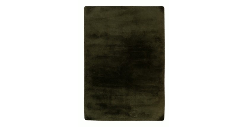 Tapis 150x80cm, design H008N coloris vert basilic - Confort et élégance pour votre intérieur