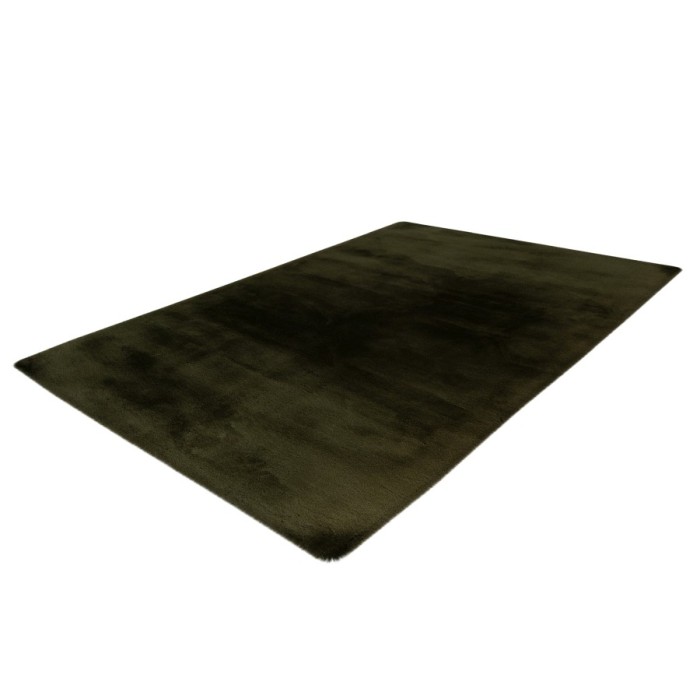 Tapis 290x200cm, design H008N coloris vert basilic - Confort et élégance pour votre intérieur