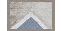 Tapis 170x120cm, design H008N coloris beige - Confort et élégance pour votre intérieur