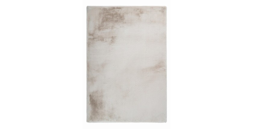 Tapis 170x120cm, design H008N coloris beige - Confort et élégance pour votre intérieur