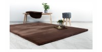 Tapis 170x120cm, design H008N coloris taupe foncé - Confort et élégance pour votre intérieur