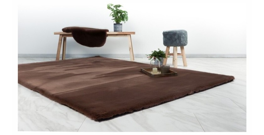 Tapis 290x200cm, design H008N coloris taupe foncé - Confort et élégance pour votre intérieur