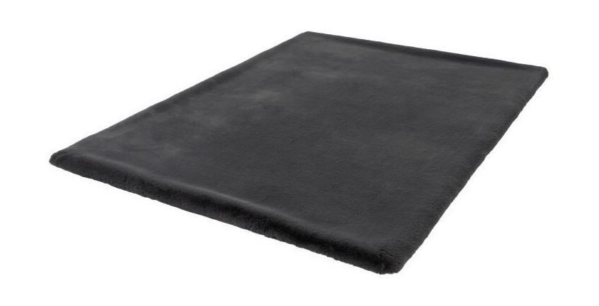 Tapis 290x200cm, design H008N coloris graphite - Confort et élégance pour votre intérieur