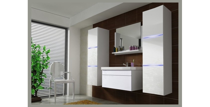 Ensemble meubles de salle de bain collection RAVEN, coloris blanc mat et brillant, avec vasque 60cm et deux colonnes
