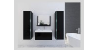 Ensemble meubles de salle de bain collection BIRD, coloris noir mat et brillant avec deux colonnes
