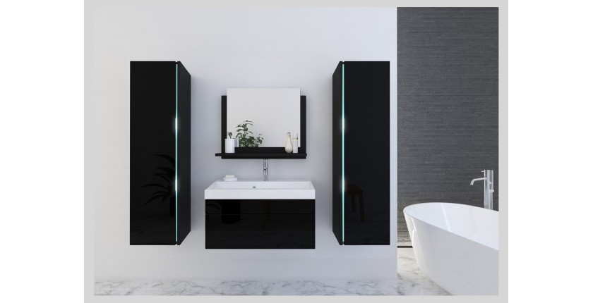 Ensemble meubles de salle de bain collection BIRD, coloris noir mat et brillant avec deux colonnes et vasque 80cm