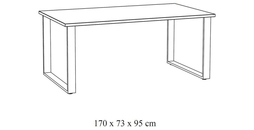 Table 8 personnes pour salle à manger collection NEWTON coloris chêne clair. Pieds en métal.