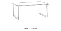 Tafel voor 10 personen voor eetkamer, collectie NEWTON, kleur gouden eik. Metalen poten.