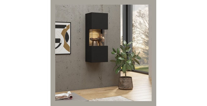 Petite vitrine suspendue 1 porte partiellement vitrée collection EVA. Couleur noir et chêne.