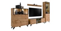 ENSEMBLE MEUBLES DE SALON TINO composé de quatre meubles et d'une étagère de style industriel.