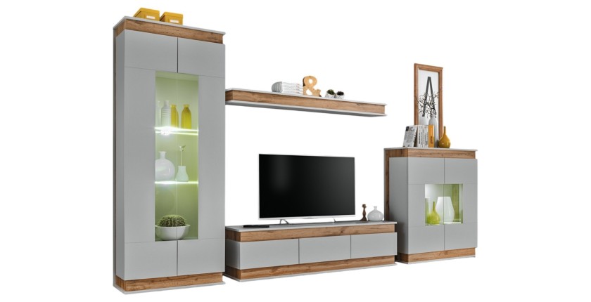 Ensemble de meubles de salon collection MUNICH. Style design.
