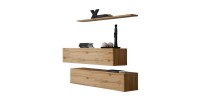 Ensemble meubles de salon SWITCH SBII design, coloris chêne Wotan.