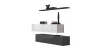 Ensemble meubles de salon SWITCH SBII design, coloris gris et blanc brillant.