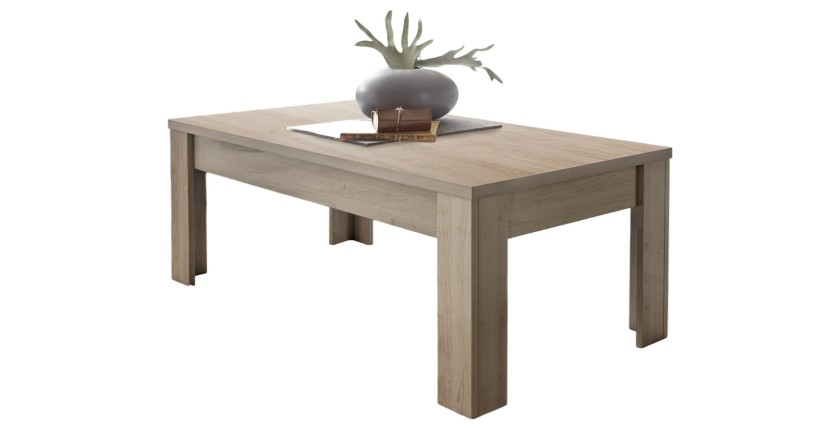 Table basse 122x65 cm – Collection ZEFIR – Chêne clair – Élégance et convivialité pour votre salon