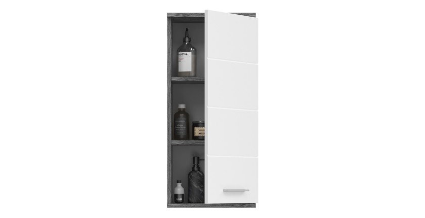 Meuble de salle de bain WILLIAM 1 porte – Blanc et gris foncé 