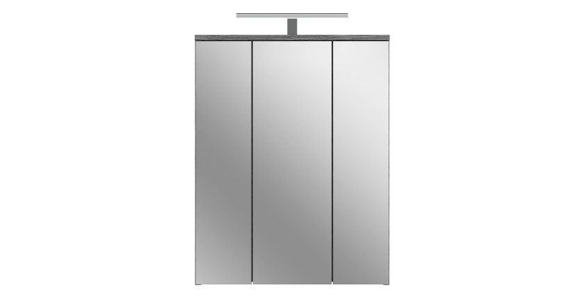 Badkamermeubelset WILLIAM - Donkergrijs en wit - 64x191x34 cm - Met LED 