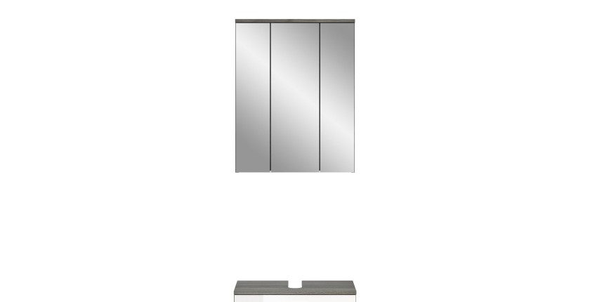 Badezimmermöbelset WILLIAM – Dunkelgrau und Weiß – 60x191x34 cm 