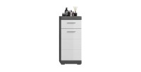 Lage opbergkast SCOTT – 1 deur en 1 lade – Donkergrijs en wit – 37x88x31 cm 