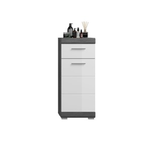 Lage opbergkast SCOTT – 1 deur en 1 lade – Donkergrijs en wit – 37x88x31 cm 