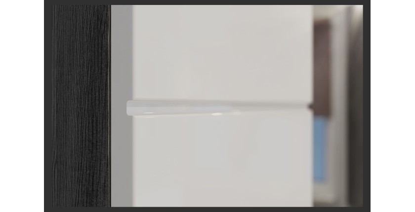 Colonne de salle de bain SCOTT – 2 portes et 1 tiroir – Gris foncé et blanc – 37x191x31 cm 