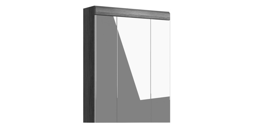 Hoge opbergkast SCOTT - 3 deuren met spiegel - Donkergrijs en wit - 60x79x18 cm 