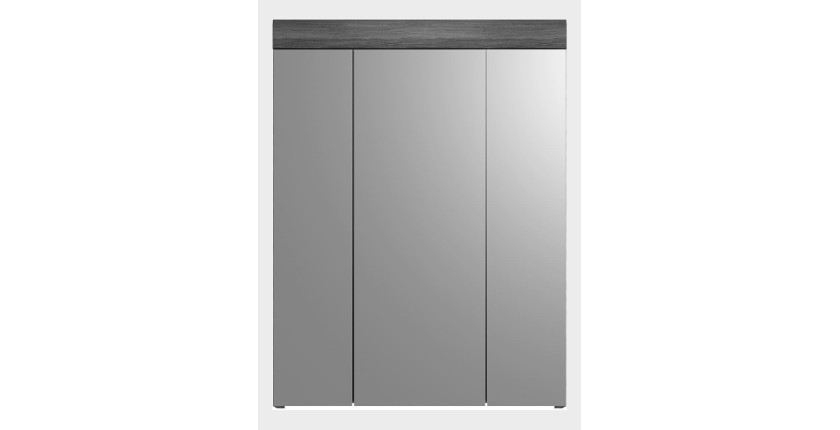 Conjunto para baño SCOTT – Mueble bajo lavabo, mueble de almacenamiento con espejo, columna y 2 medias columnas – Gris oscuro y 