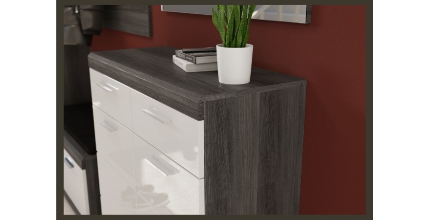 Ensemble d'entrée SCOTT – Meubles de rangement avec miroir et porte-manteaux 