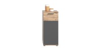 Meuble de rangement 1 porte – Gris anthracite et chêne clair – SELMA 
