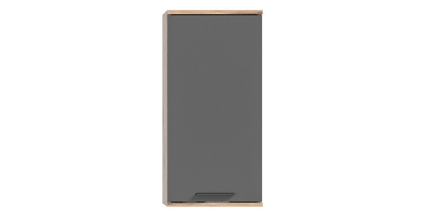 Demi colonne de salle de bain 1 porte – Gris anthracite et chêne clair – SELMA 