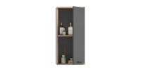 Demi colonne de salle de bain 1 porte – Gris anthracite et chêne clair – SELMA 