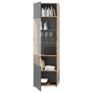 Vitrine avec porte vitrée – Gris anthracite et chêne clair – SELMA 