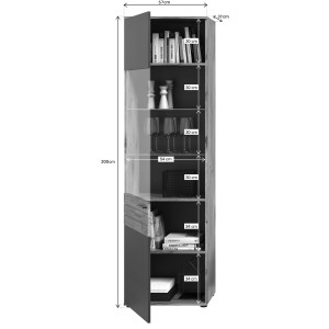 Vitrine avec porte vitrée – Gris anthracite et chêne clair – SELMA 