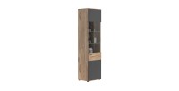 Vitrine avec porte vitrée – Gris anthracite et chêne clair – SELMA 