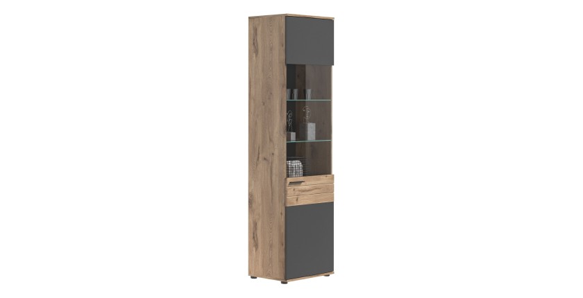 Vitrine avec porte vitrée – Gris anthracite et chêne clair – SELMA 