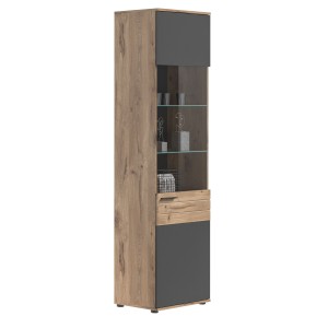 Vitrine avec porte vitrée – Gris anthracite et chêne clair – SELMA 