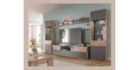 Meuble TV 2 portes et 1 tiroir – Gris anthracite et chêne clair – SELMA 
