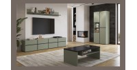 Ensemble de 4 meubles collection HAVANA coloris vert sauge. Meuble TV XL, buffet, vitrine, table basse, étagère
